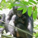 한남어린이집 이미지