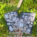 꼬순내 | [리뷰]반려동물 스티커 제작 후기! 꼬순내나는 포토 다꾸 폰꾸 스티커 솔직 후기 (feat. 고양이 스티커...