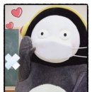 카페이안 이미지