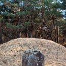 선산고을 이미지