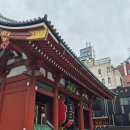 아울리버 | [일본 도쿄] 아사쿠사 스카이트리 바로 옆 저렴한 숙소 추천 : 와이즈아울 호스텔 리버 도쿄