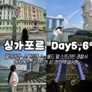 커피어클락&편의점그리고해담 | 싱가포르 여행 DAY5~6｜하지레인·머라이언 파크·슈퍼트리·스펙트라 쇼·창이공항 4터미널 맛집...