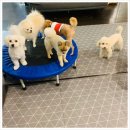 킹스유치원 이미지