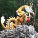 어룡초교 이미지