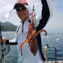 통영도산낚시 Daum카페