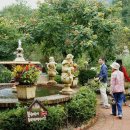 허브꽃농원 이미지