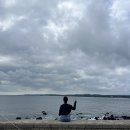 제일카종합병원 | 제주 휠체어 대여 방법 + 동반 가족여행 코스 정리｜섭지코지·카멜리아힐·아쿠아플라넷 제주 실제 후기