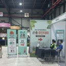 2026 제10회 서울 곤충경진대회 방문기 &amp; 호랑나비 사육하기 당첨!