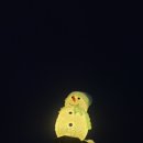 킹스바베큐 이미지