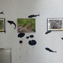 양지민박 이미지