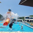 하루키즈풀빌라 이미지