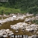 삵 vs 담비.gif 이미지