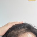 바람부는날에도 성형외과의원 이미지