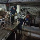 새하크리닝 이미지