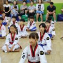 포올 태권도 운동발달 센터 이미지