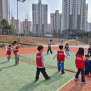 한국체대 신일태권도장 이미지