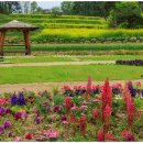 Boss 당구장 이미지