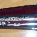 플루트(1년) 이미지