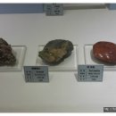 창조자연사박물관 이미지