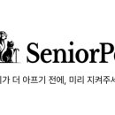 시니어펫 이미지