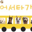 어서타개 이미지