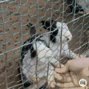 초원목장2 | 해피초원목장 주차 입장료 관람 후기 내돈내산