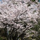 의료법인 해올의료재단 힐마루요양병원 이미지