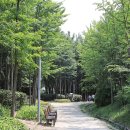 성수사슴농장 이미지