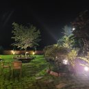 머문하녹 이미지