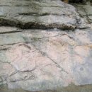 대관령가축병원 이미지