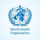 세계로간호학원 이미지