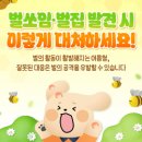대한전기안전관리소