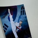 국가대표 태권도 금메달도장 이미지