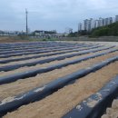 광성농장 이미지