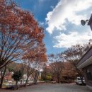 천상골가든 이미지