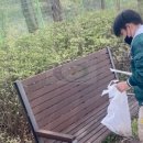 기안초교 이미지