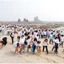 "깨끗한 바다로 놀러오세요" 하나님의 교회, 자원봉사 '구슬땀' (뉴스한국) 이미지