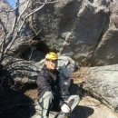 합천황토펜션숲 이미지