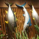 진참치상모사곡점 이미지