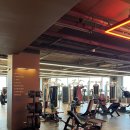 아리스휘트니스 | 시흥 배곧 시설 좋은 헬스장 ‘아리스 휘트니스 배곧점’ 이용 후기- feat. 시설, 뷰 맛집