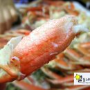 원조등대수산 - 보령시 대천항4길 32 | 원조등대수산