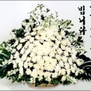 학남초등 이미지