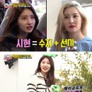 시현농장 이미지