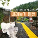 코리안바베큐김포 | 고양이가 있는 제주 숙소! 내려놓기 펜션