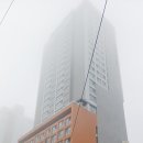 오션유통 | 부산 영도 오션뷰 호텔 아델라 후기 디럭스 하버뷰 룸 트윈베드 내돈내산