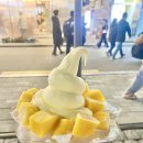 성주이앤씨 | 내돈내산 홍대 고망고 신상 망고사고와 망고 빙수 후기