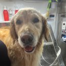 개신남 10호점 이미지