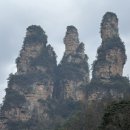 전주탄탄정형외과의원 이미지