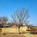 한국의령방역 | 하늘에서는 사랑바위, 물 위에서는 솥바위
