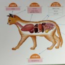 오포동물약국 이미지